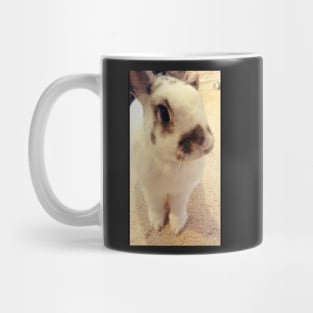 Princess Sweetie The Bold Bunny of FairyCastleFarm Mug